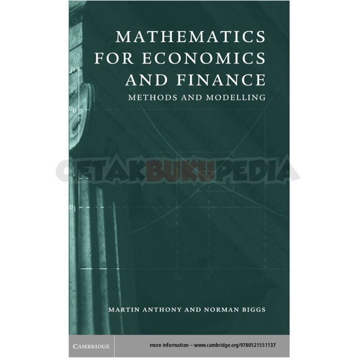 fisik Mathematics economics finance SoftCover