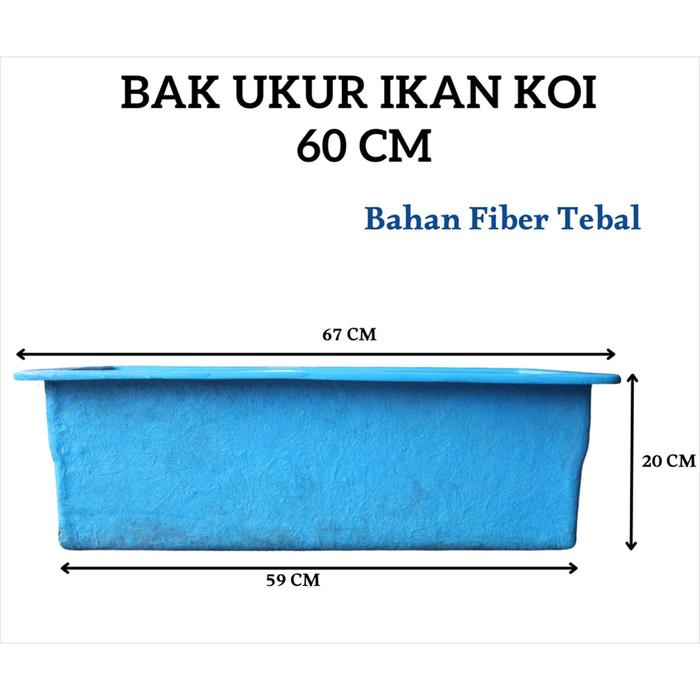 BAK UKUR IKAN KOI 60 Cm Bak Ukur Bahan Fiber Tebal Dault Dault