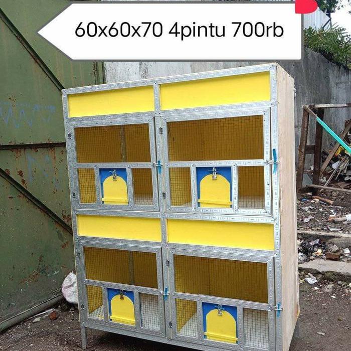 kandang burung merpati dara macan gupon bupon 4 pintu kuning by berkah kurung creative DiskonJual