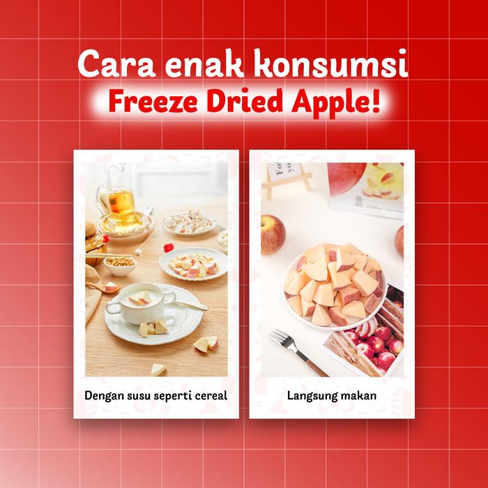 

URSNACKS Freeze Dried Pure Apple - Snack Keripik Buah Apel 22gr