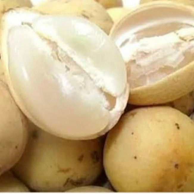

Sale! Dukuh Palembang Di Jamin Manis Per 1Kg