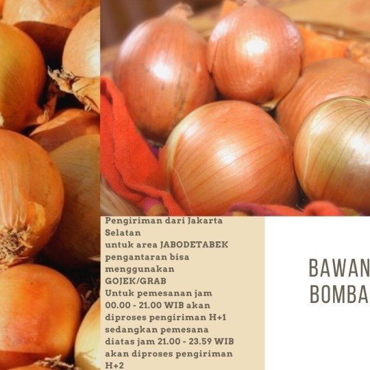 

Sale! Bawang Bombay / Bawang Bombay New Zealand / Sayur Segar