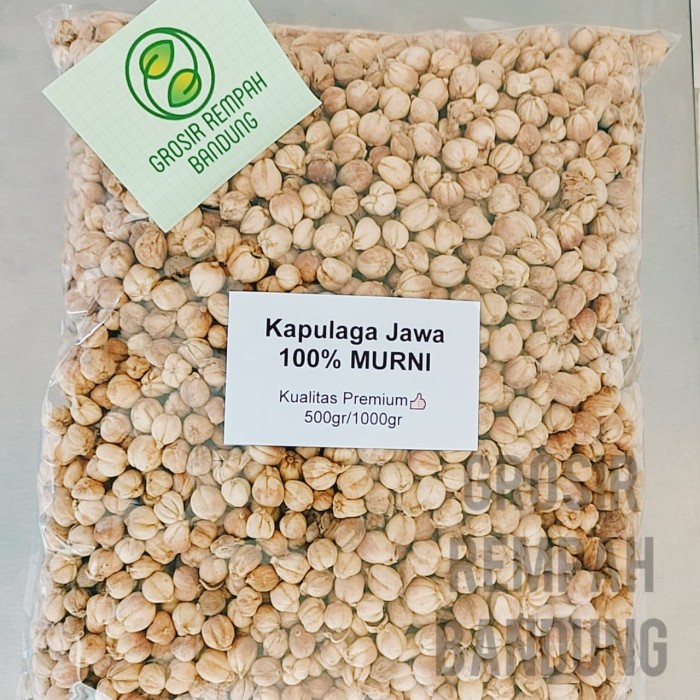 

Sale! Kapulaga Jawa Bersih Pilihan / Rempah / Kualitas Terbaik