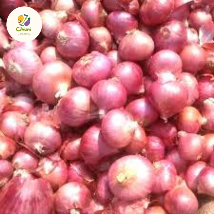 

Sale! Bawang Merah Besar / Bawang Merah Batu Murah 1Kg