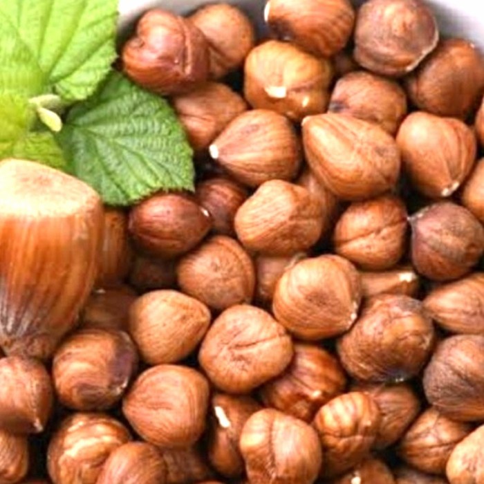 

KACANG HAZELNUT MENTAH / RAW HAZELNUT 1KG