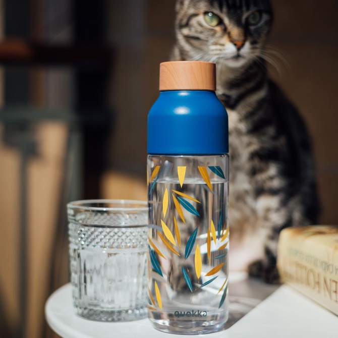 Quokka Ecozen Bottle Ice 720ml
