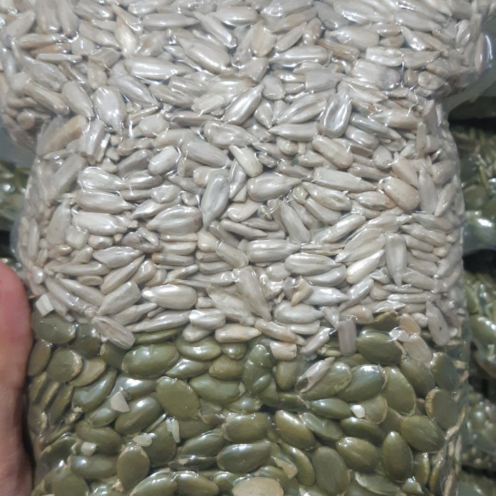 

SALE !!! MIX PUMPKIN SEED DAN SUNFLOWER ROASTED KEMASAN 500GRAM READYY