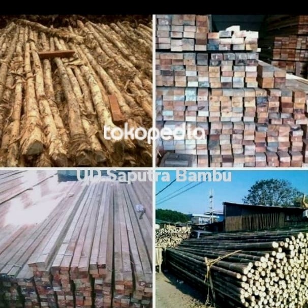 

Biaya ekspedisi TERLARIS/TERMURAH/TERPOPULER