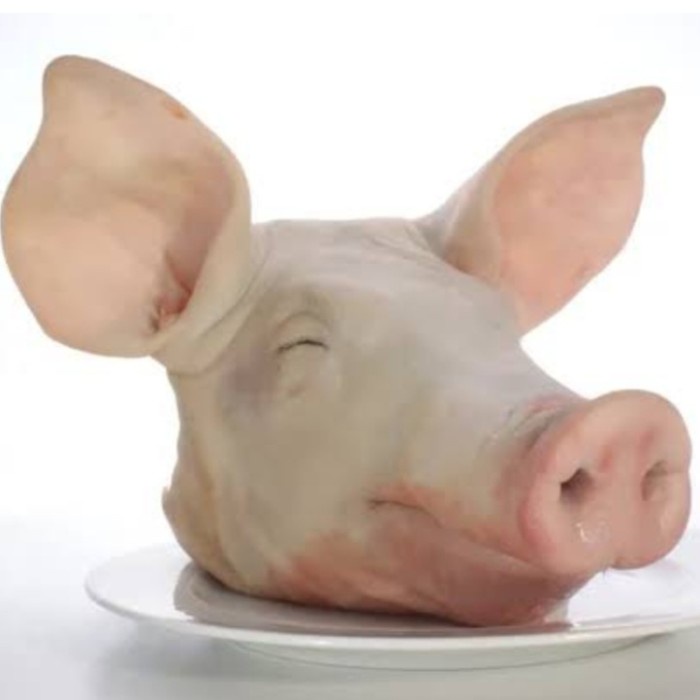 

SALE TERHOTT KEPALA BABI UTUH ( LENGKAP DENGAN TULANG KEPALA ) READYY