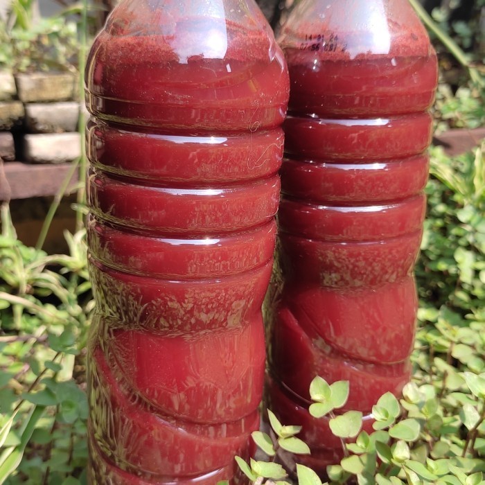 Pupuk organik PSB super JAKABA