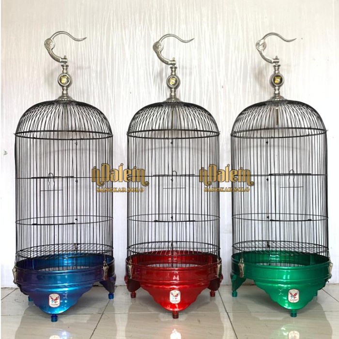 Produk Viral Sangkar Kapsul Lovebird , Conin , Sogon Chameleon / Bunglon Sazime Lavender Dan Metalik