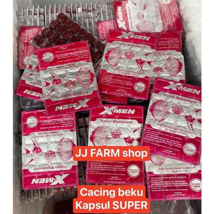 Promo Gila Cacing beku kapsul bloodworm kualitas bagus fresh merah HANYA OJOL AJA