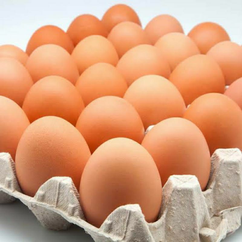 

Telur Omega 3 (isi 30 butir) bergizi tinggi