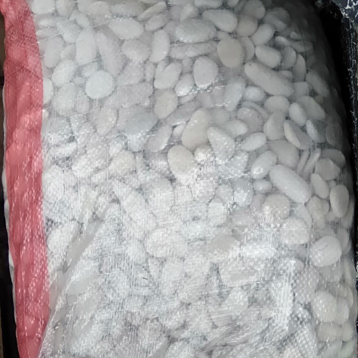 JJyoi- batu koral atau batu sikat putih