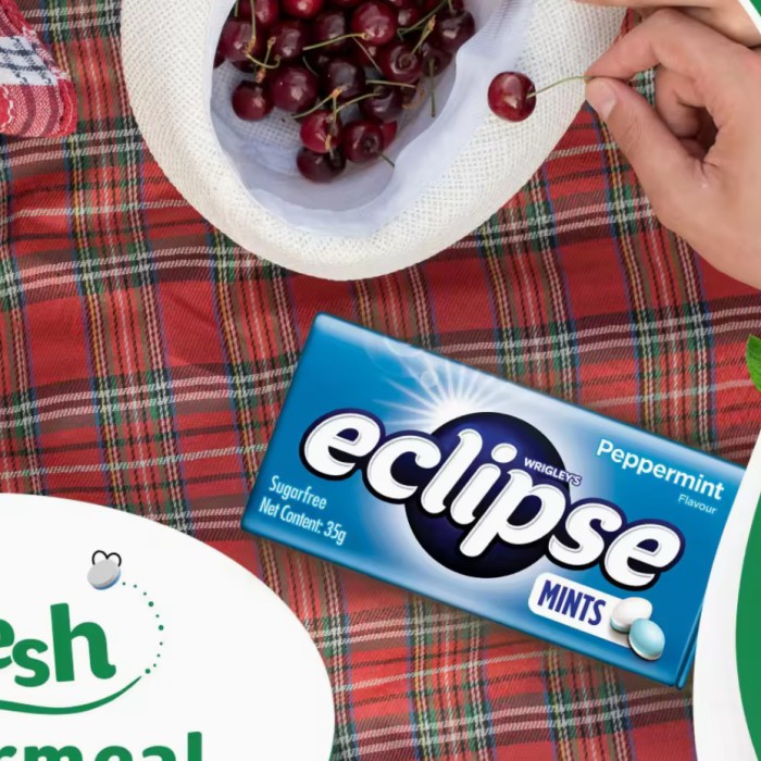 

SALE !!! ECLIPSE SUGAR FREE MINTS CANDY TIN 40 GR PERMEN MINT PRODUCT OF AUSTRALIA READYY