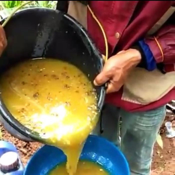 

Madu Kaliandra Asli Netto 620Grm Honey Alami Terbaru