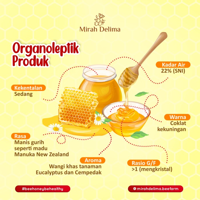 

BARANG TERLARIS Madu Hutan Amfoang - Raw Rainforest Honey - 500 ml