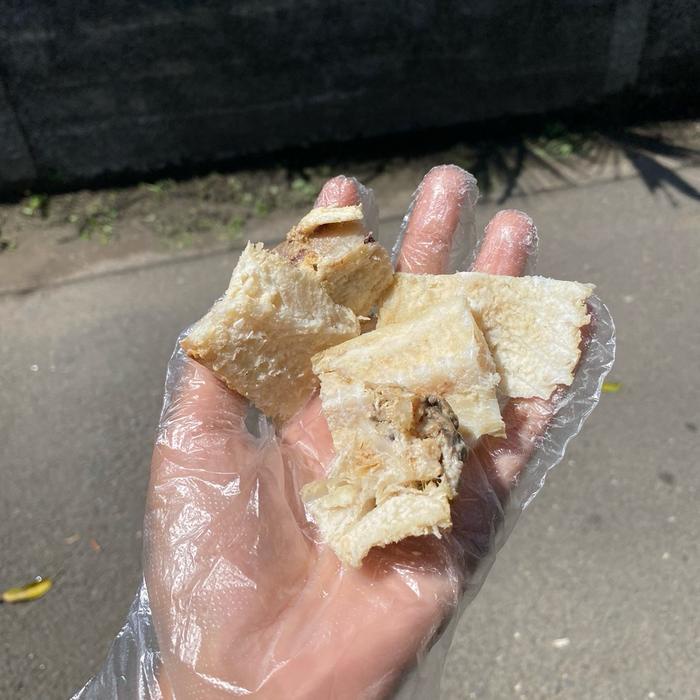 

Tulang ikan asin jambal roti