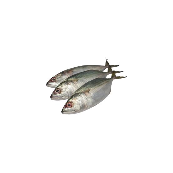 

Ikan Kembung Banjar Segar - 500 Gram (Bibik Sayur)