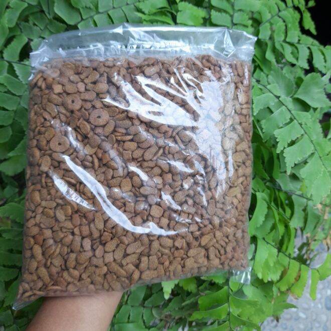 

MAKANAN KUCING MIX RANDOM STREET FOOD TERMURAH