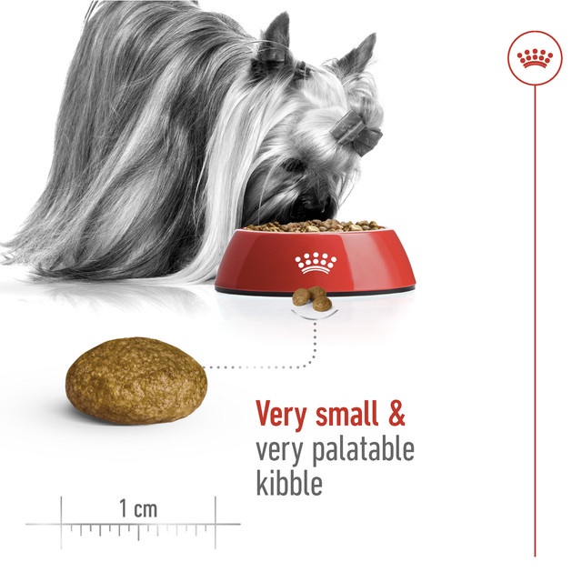 

Royal Canin X-Small Adult (500g) Dry Makanan Anjing Dewasa - Size Health Nutrition