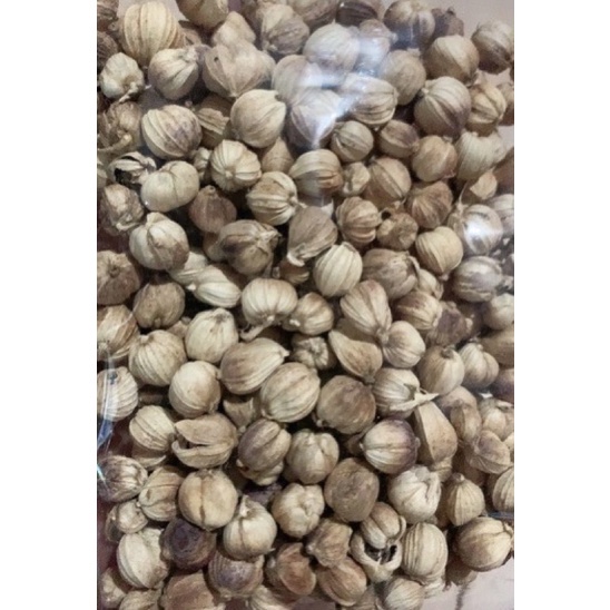 

HJE kapulaga kering 1kg