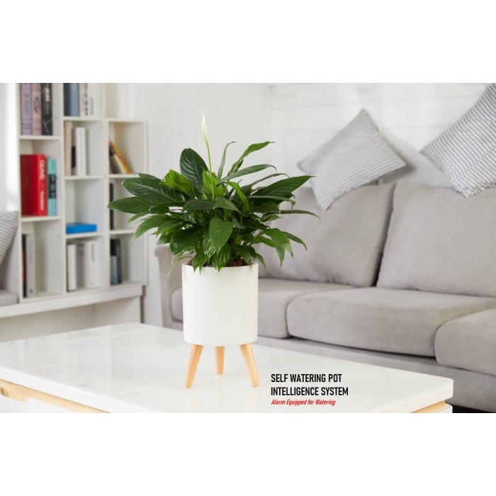 Mantab Pot Tanaman Otomatis - Self Watering Pot - Pot Hidroponik - Olz - 501