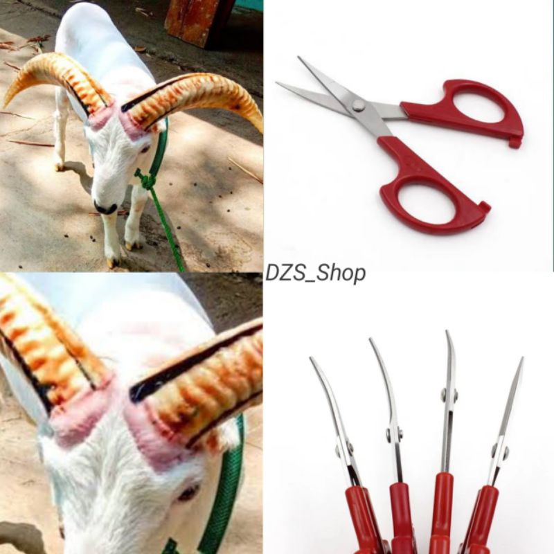 

iK! Gunting Butik/ Gunting legkung 13cm