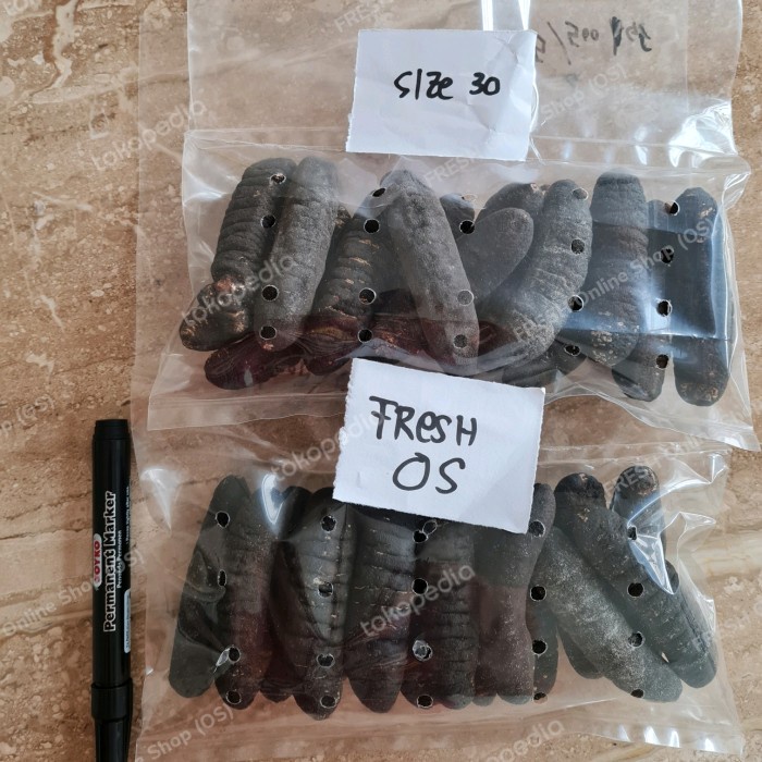 

Diskon Teripang Belitung Gosok Haisom Hoisem Hai Som Hoi Sem Tripang Size 30 Ready