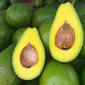 

HJK ALPUKAT MENTEGA SUPER / PULEN TANPA SERAT / BUAH SEGAR / 1 PCS