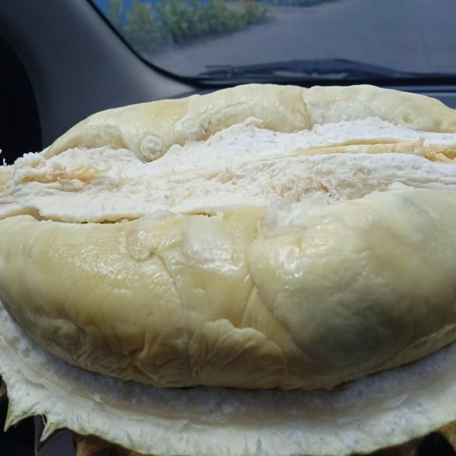 

HJK Durian / Duren Kupas Kotacane / Kutacane (Aceh)