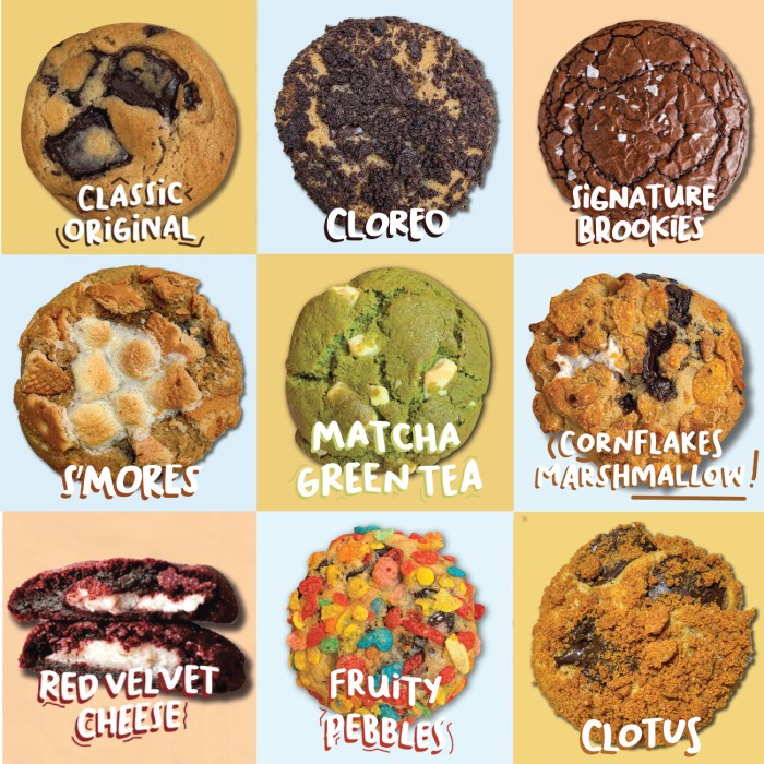 

HJK Soft Baked Cookies (BUY 5 GET 6)