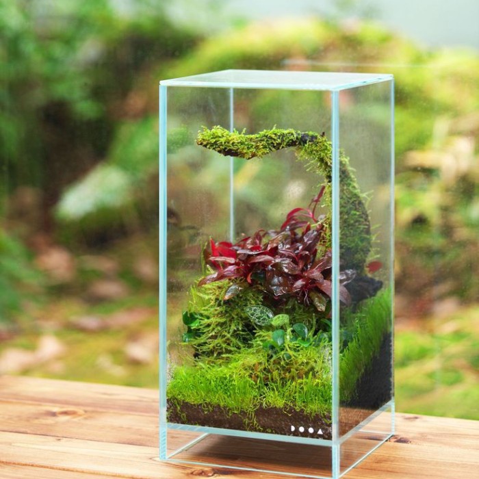 Nano Glass Paludarium Terrarium Wabikusa Aquascape Tank Aquarium Kaca