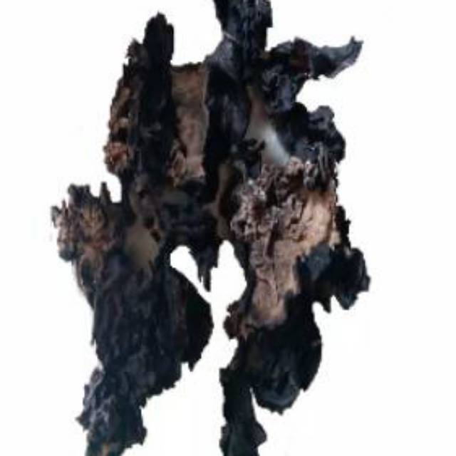 1kg Jamur kuping hitam kering Dried Black Fungus SU Brand jamur kuping sup kimlo tumis dan bahan