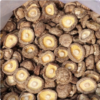 Jamur Shitake Kering Hioko Kering PREMIUM
