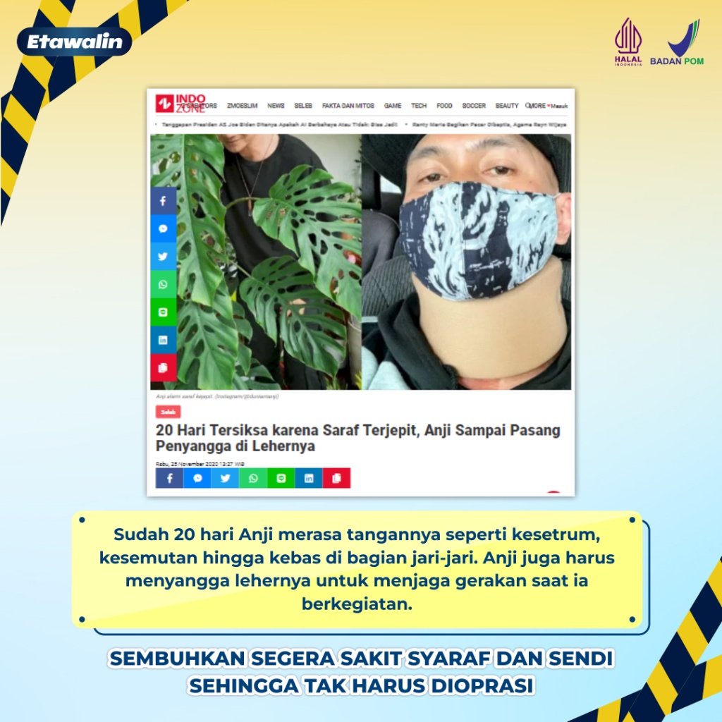 

- Susu Kambing Etawalin Membantu Atasi Masalah Nyeri Sendi, Kepadatan Tulang dan Masalah Asam Urat.