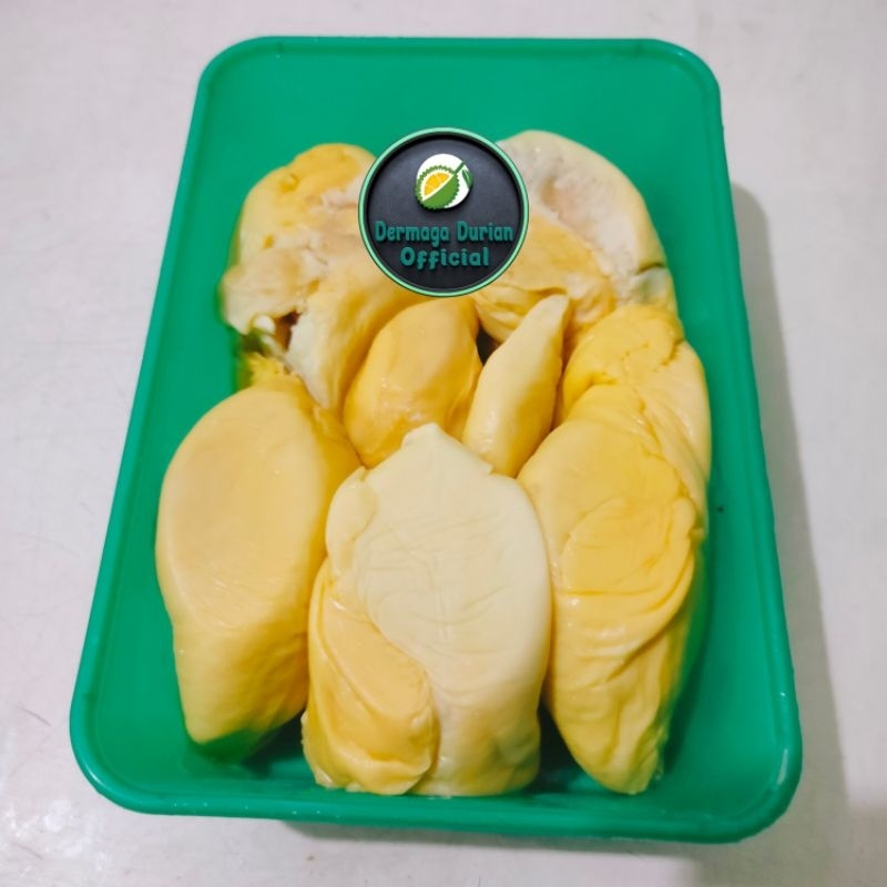 

DERMAGA DURPAS MEDAN GREENBOX PREMIUM 500GRAM / DURIAN MONTONG PALU GREENBOX PREMIUM KEMASAN 500GRAM
