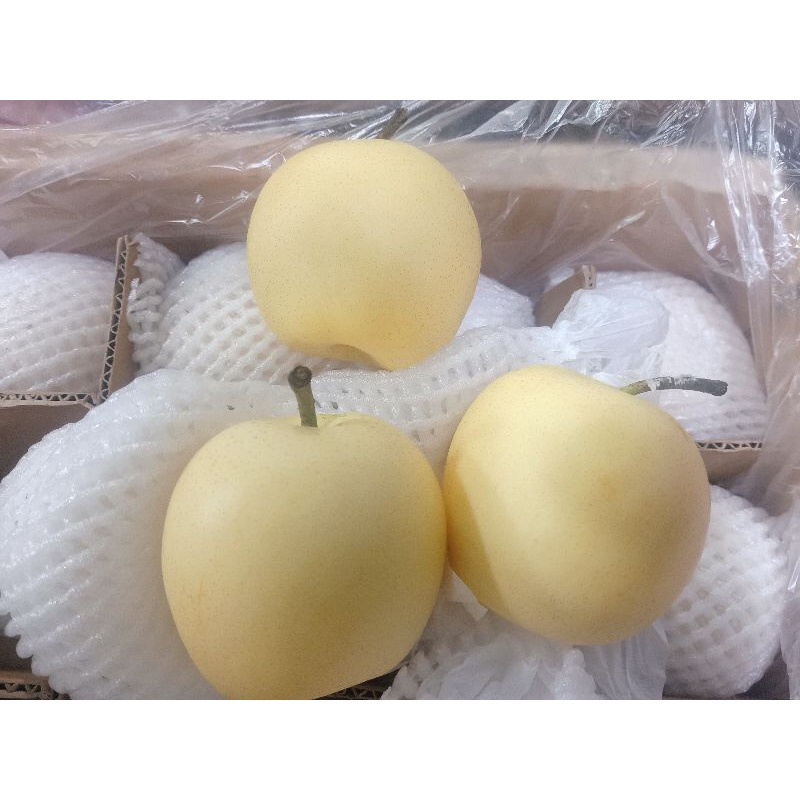 

BUAH PIR PEAR MADU SWEET IMPORT CENTURY SEGAR MURAH SEKILO 4-6 PCS PERKILO