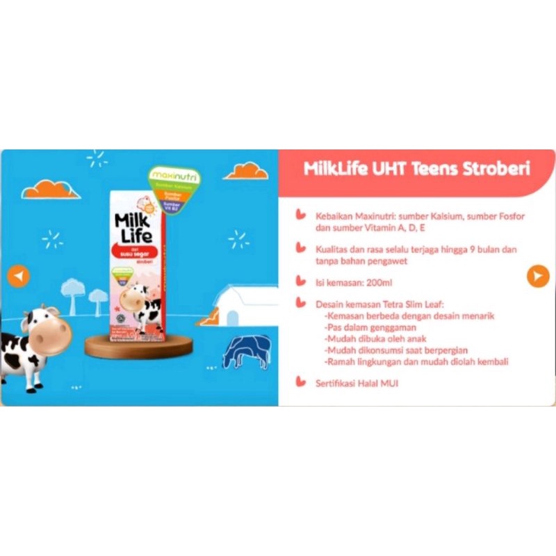 

Milk Life 200ml 1dus isi 24pcs