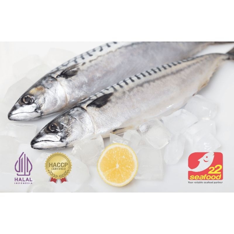 

Ikan Salem 1kg / Ikan Salem Mackerel / Seafood 22