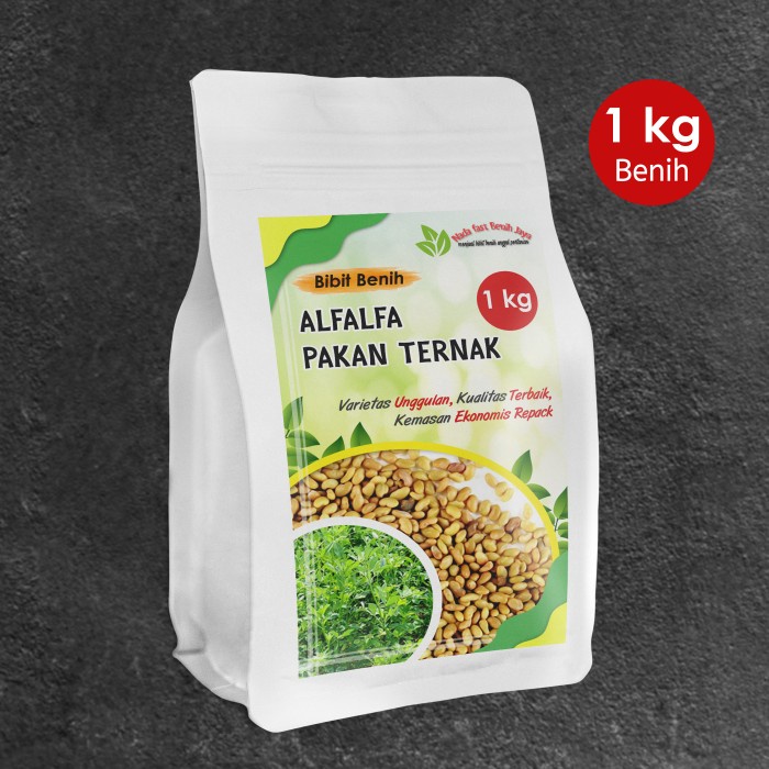 Promo Terbatas Benih Alfalfa 1 Kg / Bibit Alfalfa Benih Pakan Ternak Aman