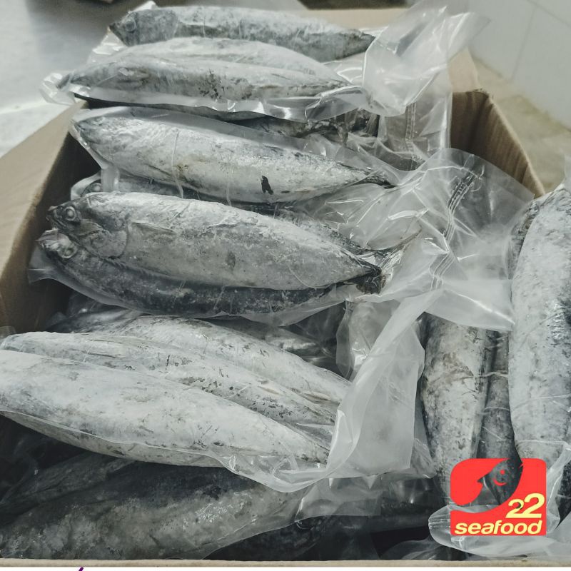 Ikan Tongkol Deho / Tongkol Lisong / Seafood 22
