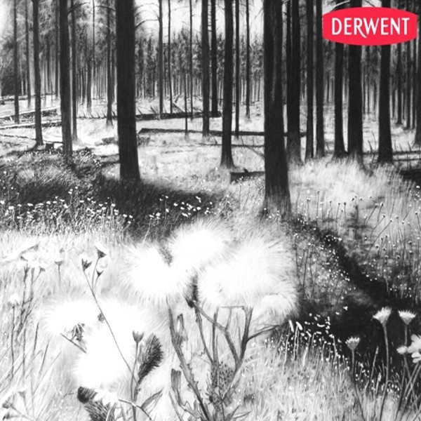 

Derwent Charcoal Satuan Pencil Pensil Arang Lukis Gambar Sketsa Myarts