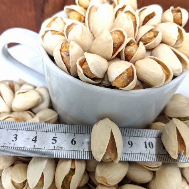 

Kacang Pistachio 500 Gram Roasted Premium Quality