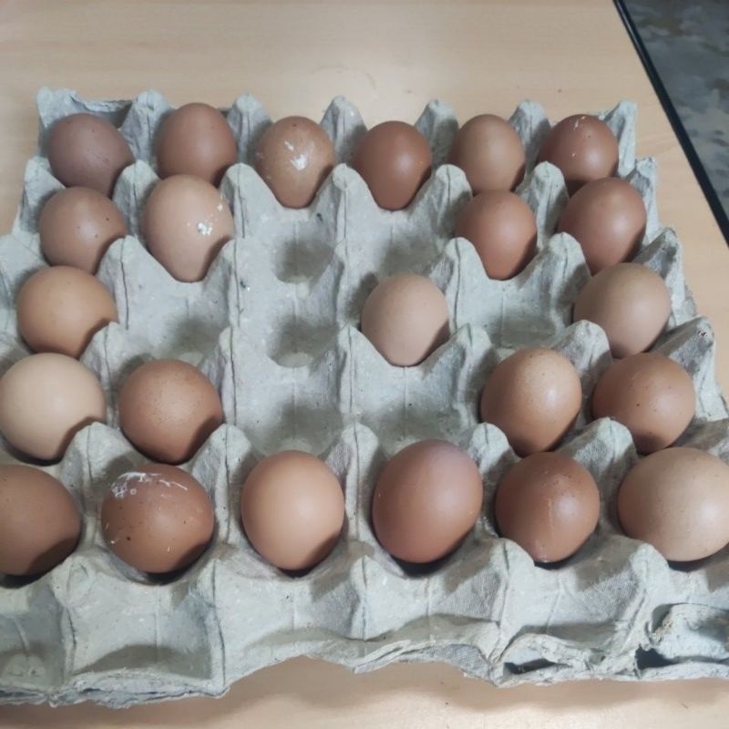 

Telur Ayam Negeri per kg isi 20 - 23 butir