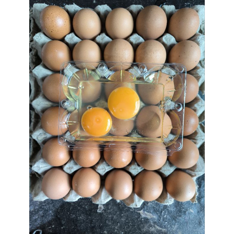 

ABT - Telur Ayam Omega 3 Premium isi 10 Butir