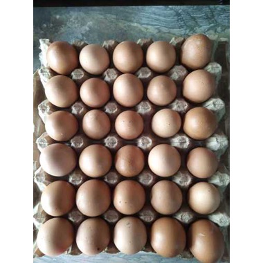 

Telur ayam negeri 1 tray isi 30 butir