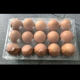 

TELOR FS