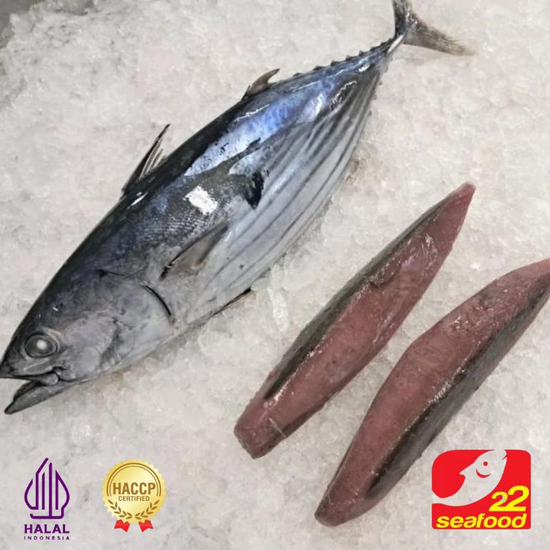

Ikan Cakalang Fillet 500 gr / Skipjack Tuna / Seafood 22