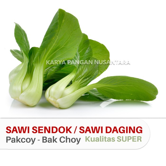 

(Good) SAYUR SAWI SENDOK SAWI DAGING SAYUR POKCOY PAKCOY BAK CHOY PAK CHOY
